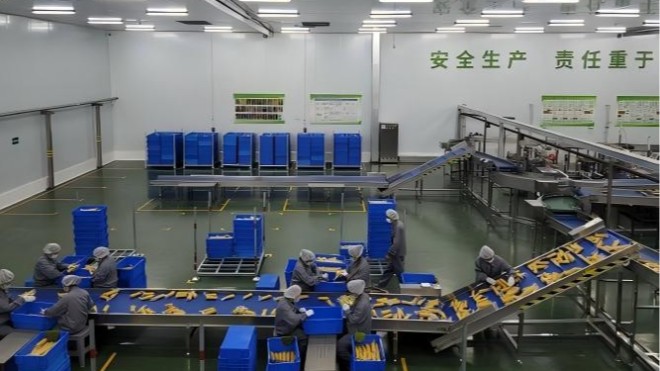 食品接觸級(jí)環(huán)氧涂料 護(hù)航食品加工設(shè)施內(nèi)壁長(zhǎng)效防護(hù)