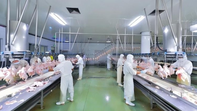 屠宰車間臺面專用無毒環(huán)氧防腐涂料 食品級防護更可靠