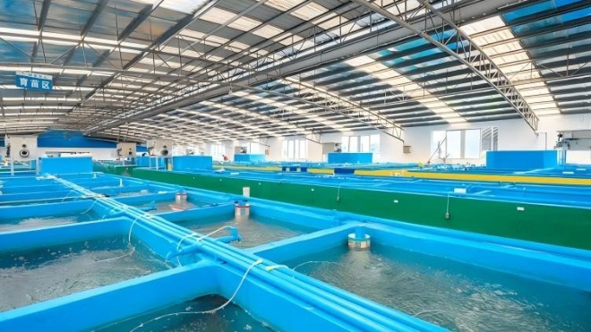 水產(chǎn)養(yǎng)殖用無毒環(huán)氧涂料 護(hù)航養(yǎng)殖設(shè)施長(zhǎng)效防腐